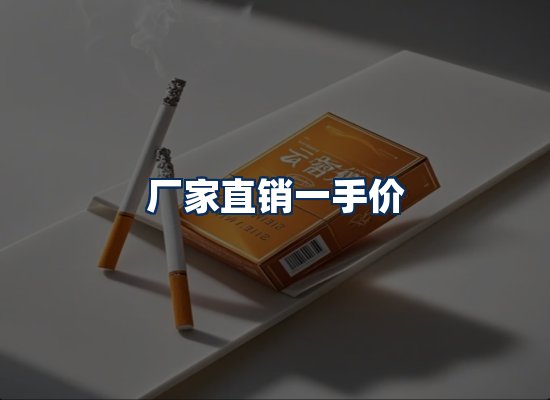 专业团队办公环境